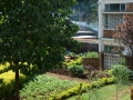 CMH_0006