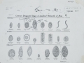 CMH_0037