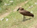 Homa-Bay_0007