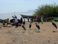 Homa-Bay_0019