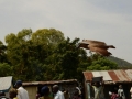 Homa-Bay_0021