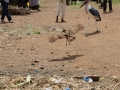 Homa-Bay_0023