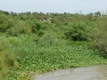 Homa-Bay_0032