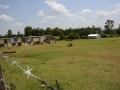SchefferBoys_0017