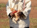 Kindergarten_0012